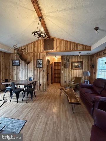 217 MEADOW VIEW DR, Lost City, WV 26810