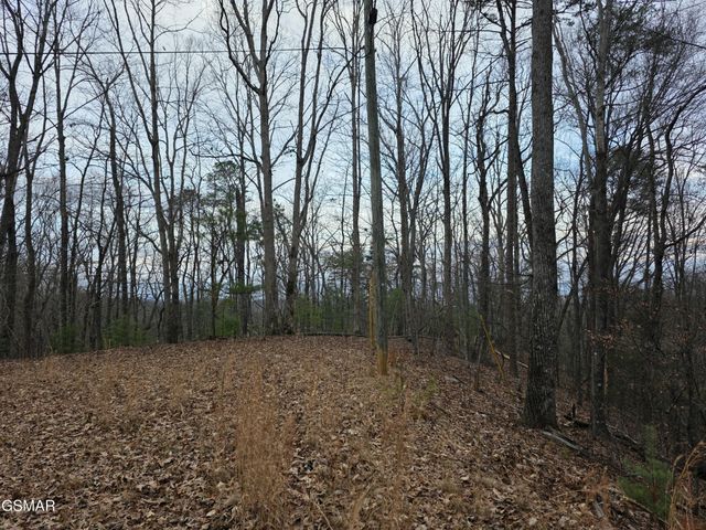 0 Deer Ridge Lane, Sevierville, TN 37876