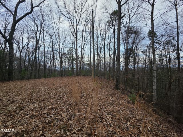 0 Deer Ridge Lane, Sevierville, TN 37876