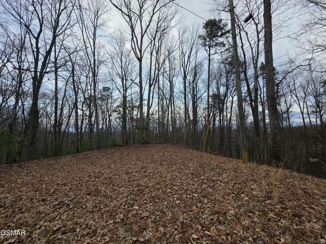 0 Deer Ridge Lane, Sevierville, TN 37876