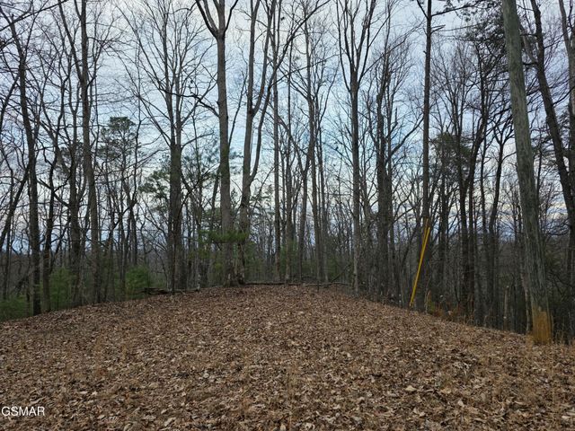 0 Deer Ridge Lane, Sevierville, TN 37876