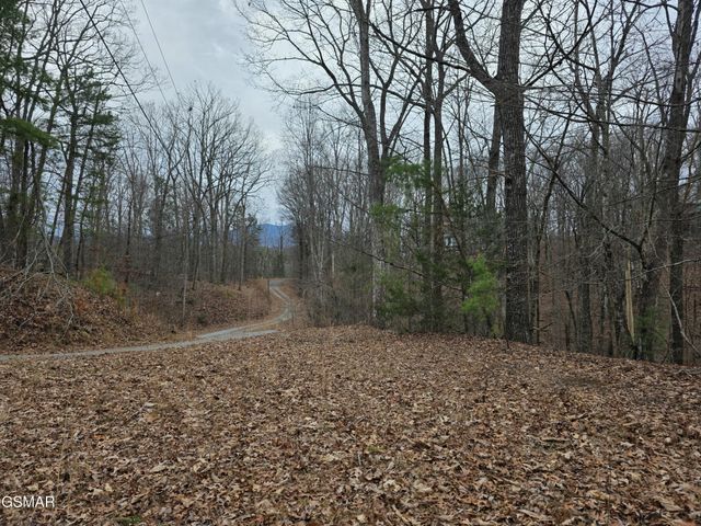 0 Deer Ridge Lane, Sevierville, TN 37876