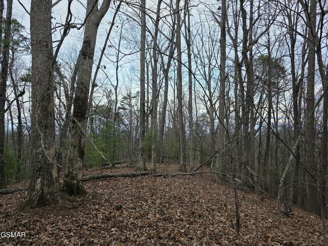 0 Deer Ridge Lane, Sevierville, TN 37876