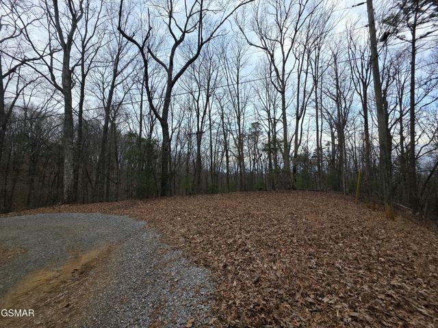 0 Deer Ridge Lane, Sevierville, TN 37876