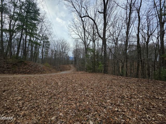 0 Deer Ridge Lane, Sevierville, TN 37876