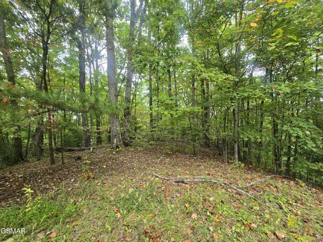 0 Deer Ridge Lane, Sevierville, TN 37876