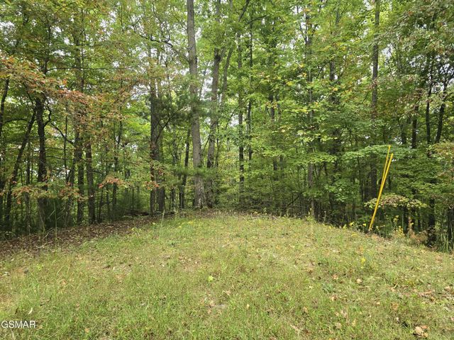 0 Deer Ridge Lane, Sevierville, TN 37876