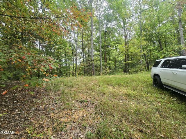 0 Deer Ridge Lane, Sevierville, TN 37876