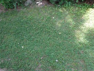 1701 N Coliseum Boulevard, Fort Wayne, IN 46805