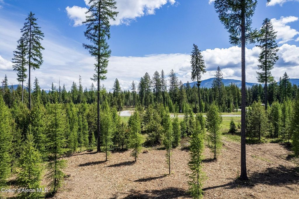 Lot10 BLK2 Leonard Loop, Athol, ID 83801 photo 12