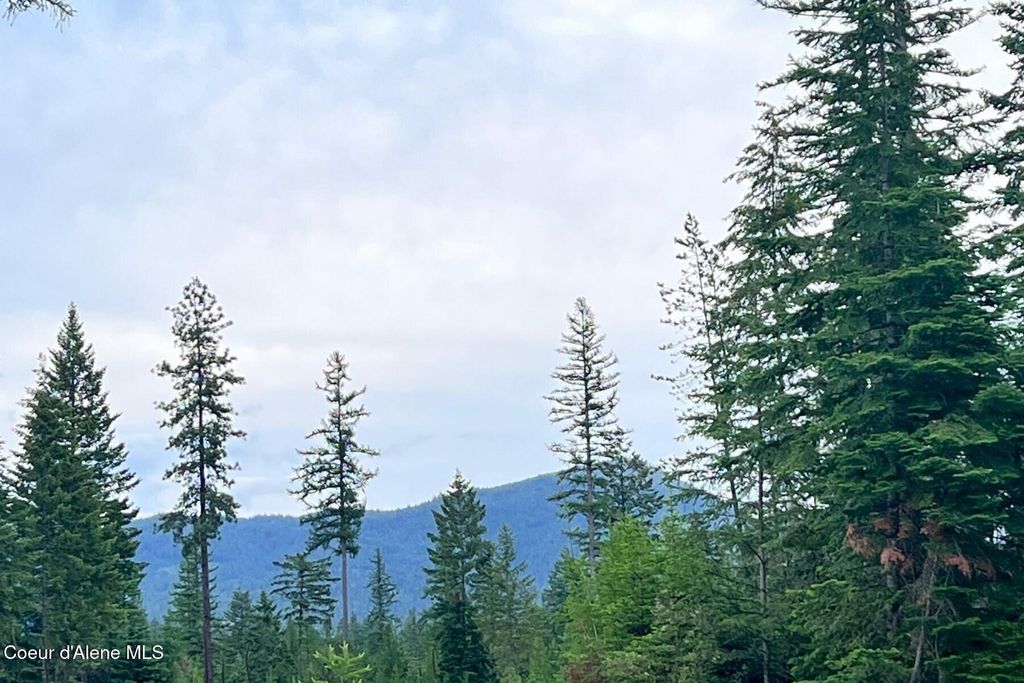 Lot10 BLK2 Leonard Loop, Athol, ID 83801 photo 16