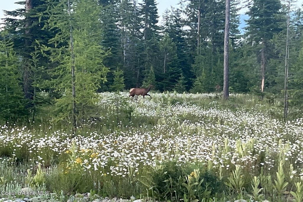 Lot10 BLK2 Leonard Loop, Athol, ID 83801 photo 18