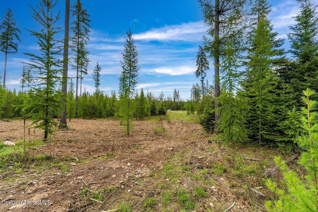 Lot10 BLK2 Leonard Loop, Athol, ID 83801 photo 21