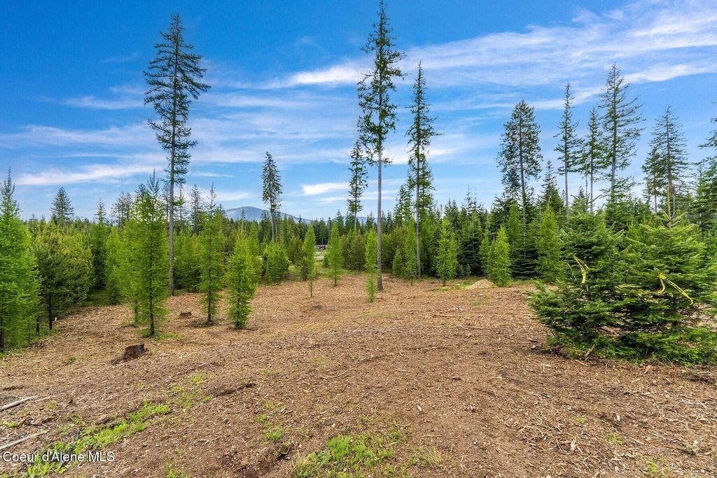 Lot10 BLK2 Leonard Loop, Athol, ID 83801 photo 22