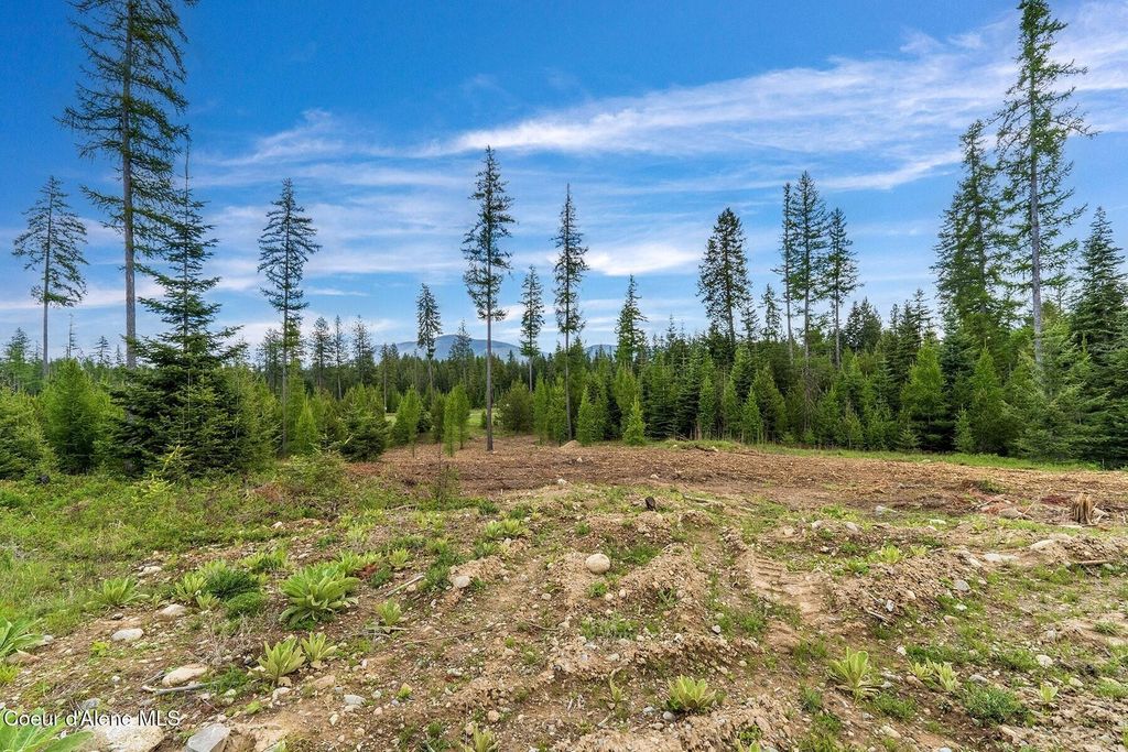 Lot10 BLK2 Leonard Loop, Athol, ID 83801 photo 25