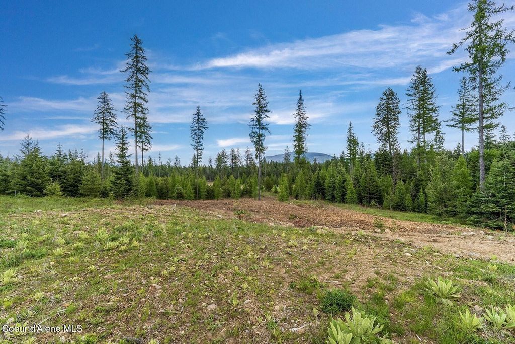 Lot10 BLK2 Leonard Loop, Athol, ID 83801 photo 26
