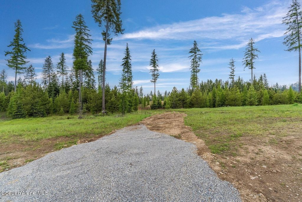 Lot10 BLK2 Leonard Loop, Athol, ID 83801 photo 29