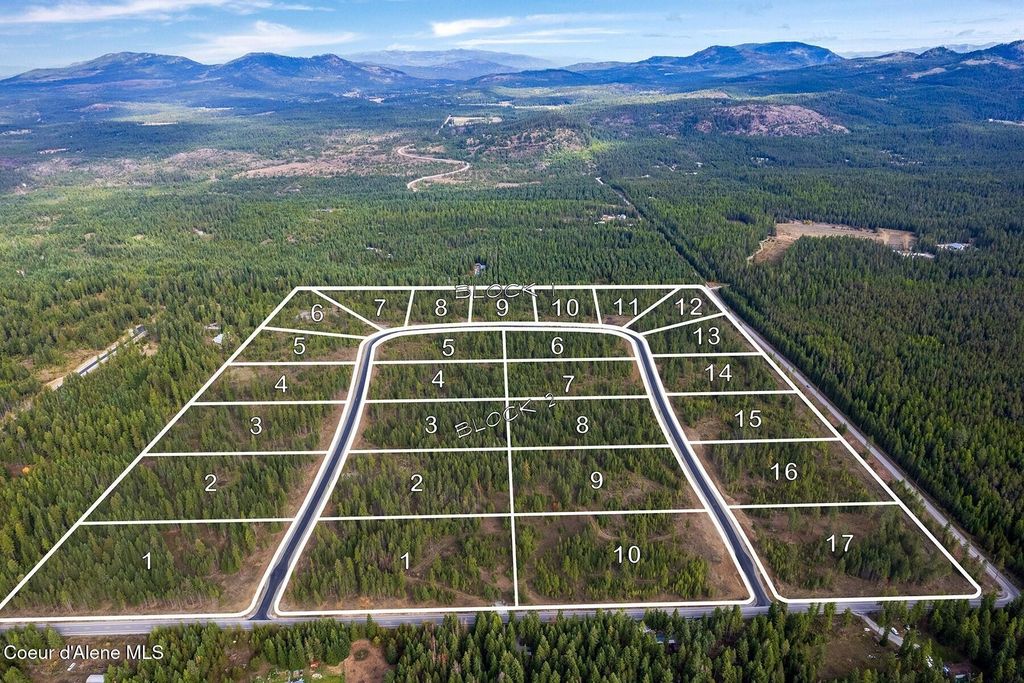 Lot10 BLK2 Leonard Loop, Athol, ID 83801 photo 35