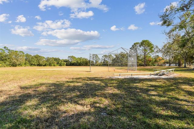 8626 BOYSENBERRY DRIVE, Tampa, FL 33635