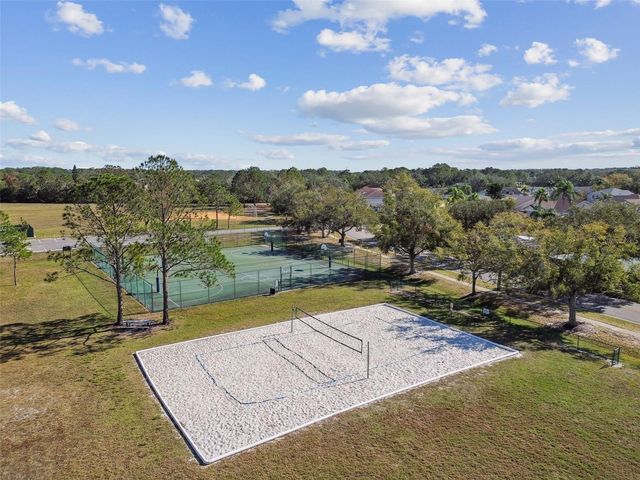 8626 BOYSENBERRY DRIVE, Tampa, FL 33635