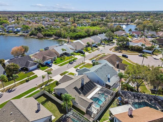 8626 BOYSENBERRY DRIVE, Tampa, FL 33635