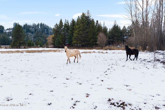 966 N Kootenai Rd, Sandpoint, ID 83864