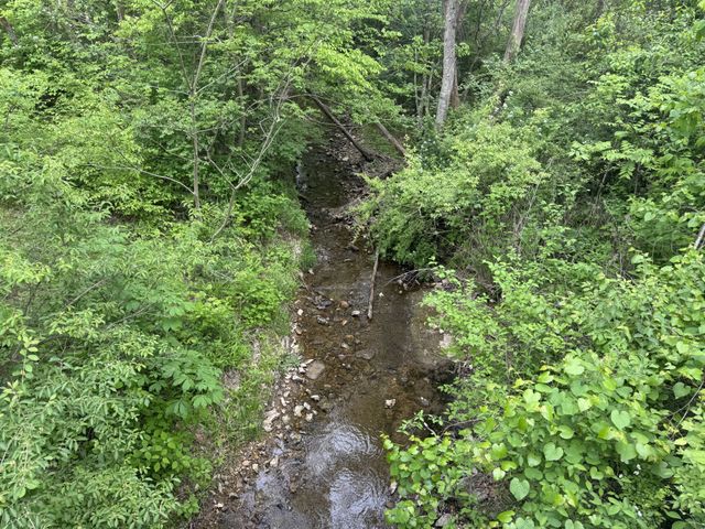 0 Old Highway 52, Westmoreland, TN 37186