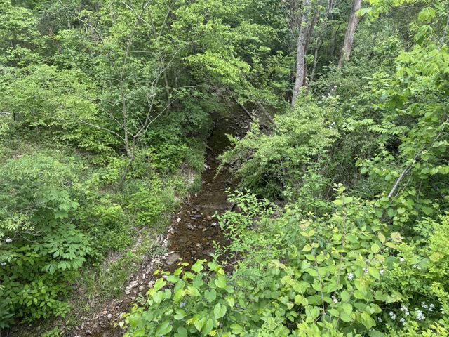 0 Old Highway 52, Westmoreland, TN 37186