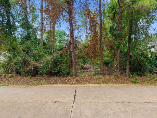 12623 Adams Run Drive, Cypress, TX 77429