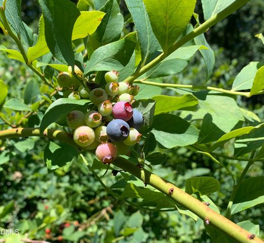 546 Oak Hill Road, Pittsboro, NC 27312