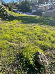 7755 Earl, El Cerrito, CA 94530