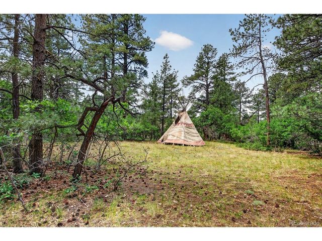 11934 E Buckhorn Way, Franktown, CO 80116