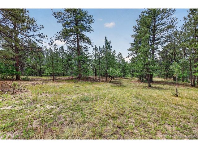 11934 E Buckhorn Way, Franktown, CO 80116