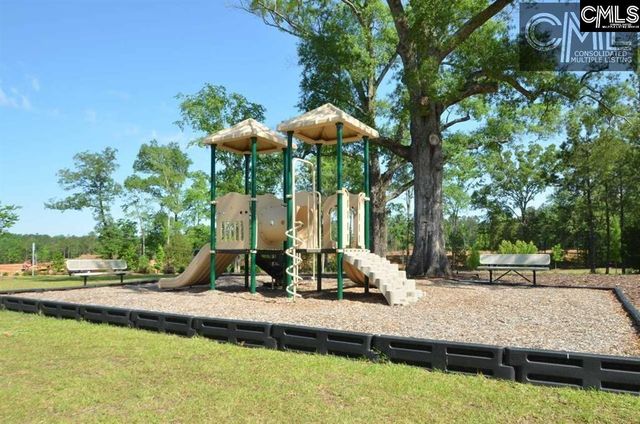 534 Eagles Rest Drive, Chapin, SC 29036