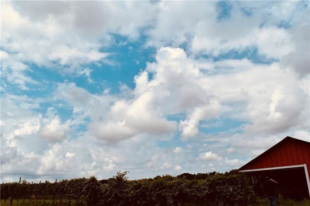 1409 Antioch RD, Paige, TX 78659