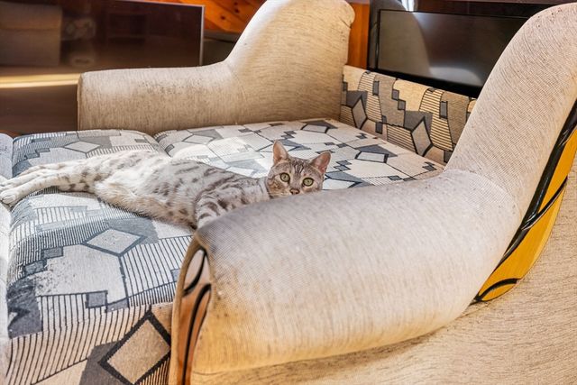 11 Hilltop Ln 11, Easton, MA 02375