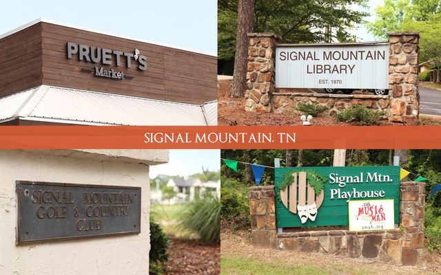 12 Mountain Orchard Path, Signal Mountain, TN 37377