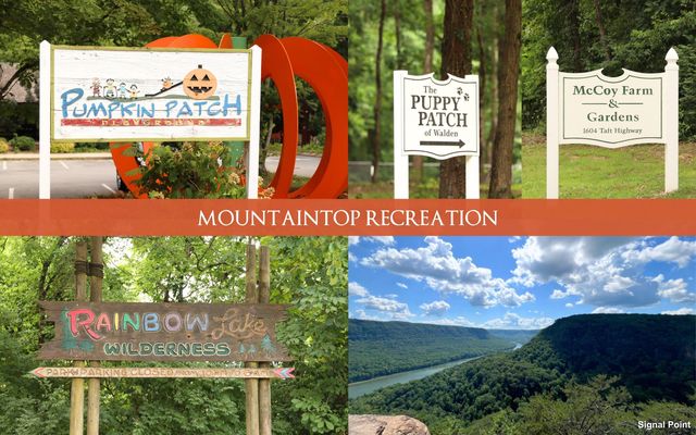 12 Mountain Orchard Path, Signal Mountain, TN 37377