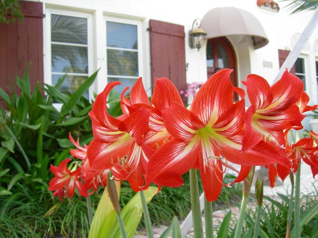 226 NE 1st Avenue Key Lime Suite, Delray Beach, FL 33444