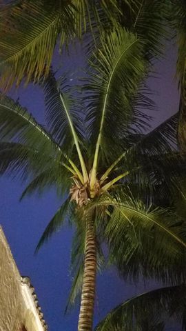 226 NE 1st Avenue Key Lime Suite, Delray Beach, FL 33444