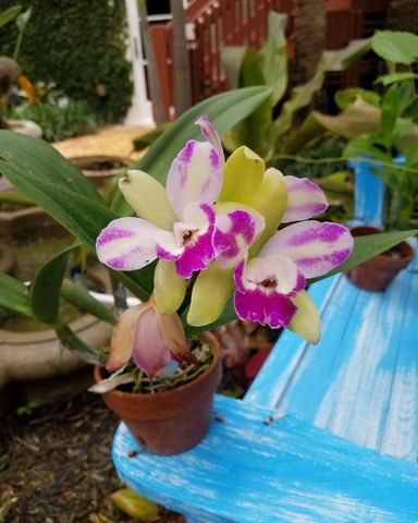 226 NE 1st Avenue Key Lime Suite, Delray Beach, FL 33444