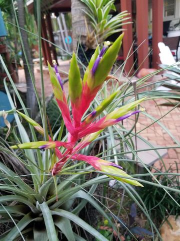 226 NE 1st Avenue Key Lime Suite, Delray Beach, FL 33444