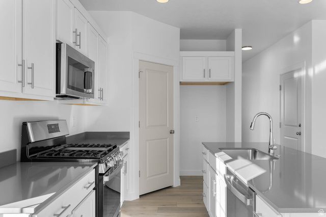 8203 W GALLATIN PEAK RD, Magna, UT 84044