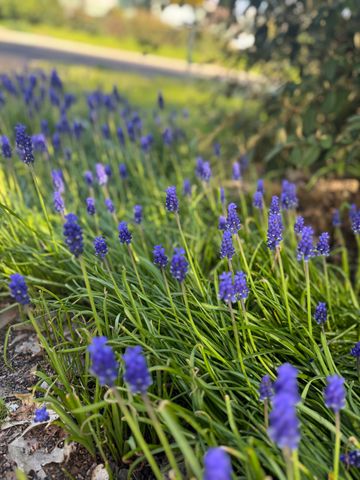 956 NE Beacon Drive, Grants Pass, OR 97526