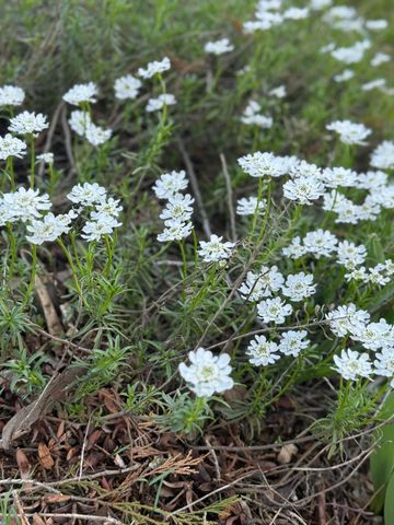 956 NE Beacon Drive, Grants Pass, OR 97526