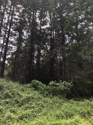 278 Ridge Road, Shelter Cove, CA 95589