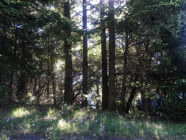 278 Ridge Road, Shelter Cove, CA 95589