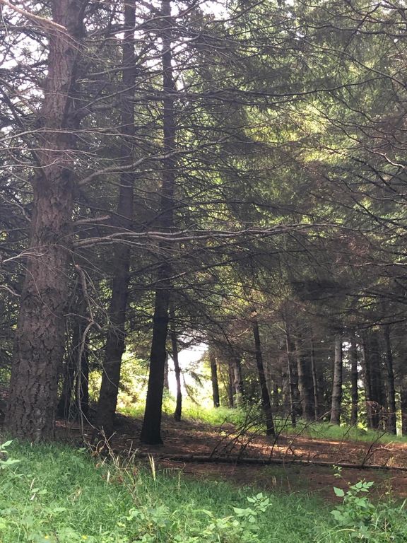 278 Ridge Road, Shelter Cove, CA 95589