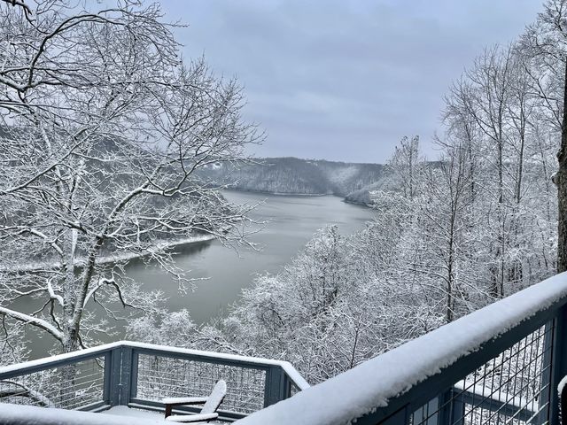 220 Summit Pointe Lane, Smithville, TN 37166