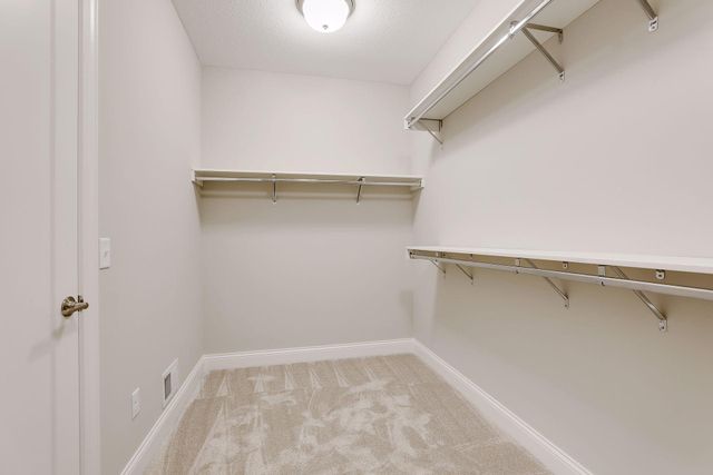 4641 Wolfberry Curve, Minnetrista, MN 55331